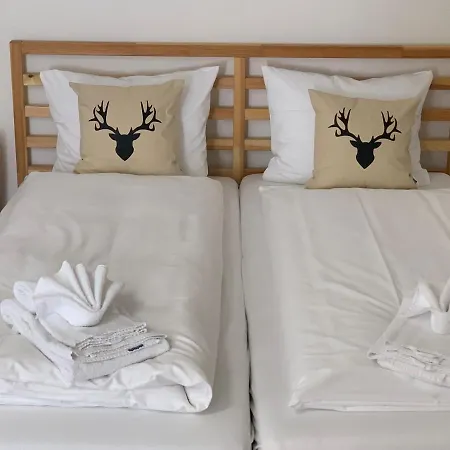 Parsennblick Mit Dachterrasse Davos