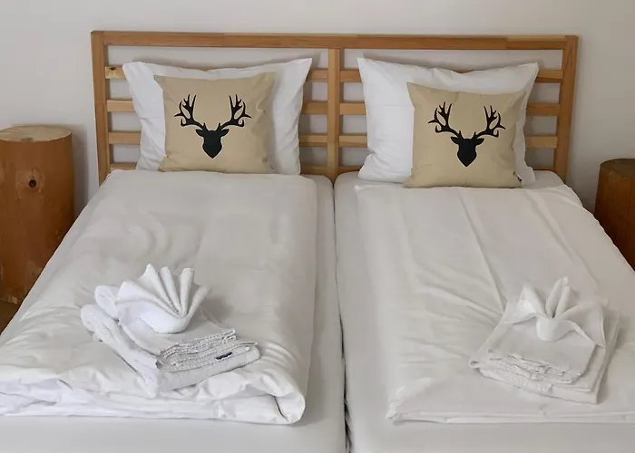 Parsennblick Mit Dachterrasse Davos